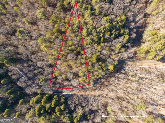 0 Satsuma South Court 694, Ellijay, GA 30540