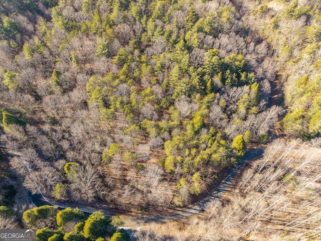 0 Satsuma South Court 694, Ellijay, GA 30540