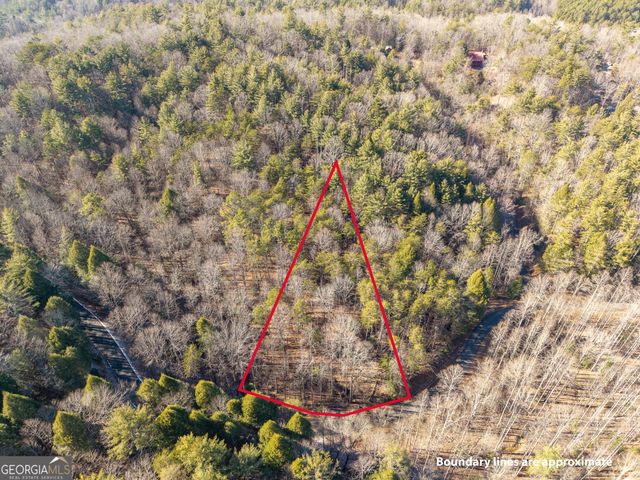 0 Satsuma South Court 694, Ellijay, GA 30540