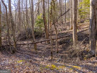 0 Satsuma South Court 694, Ellijay, GA 30540