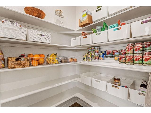 2315 Coyote Mint Dr, Monument, CO 80132