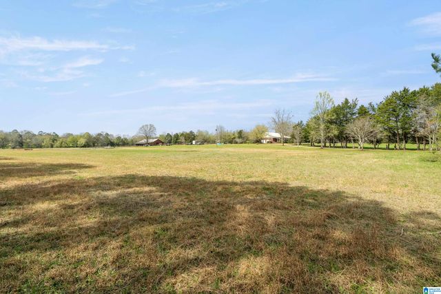 314 TALLADEGA CREEK ROAD, Talladega, AL 35160