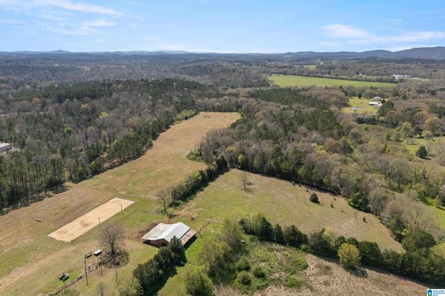 314 TALLADEGA CREEK ROAD, Talladega, AL 35160