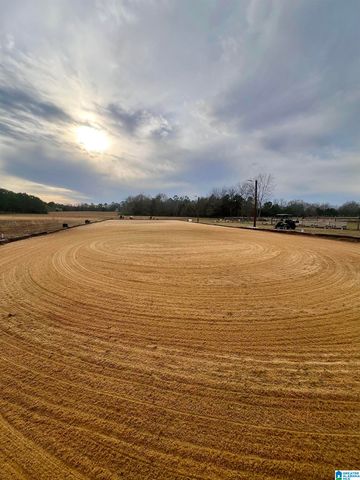 314 TALLADEGA CREEK ROAD, Talladega, AL 35160