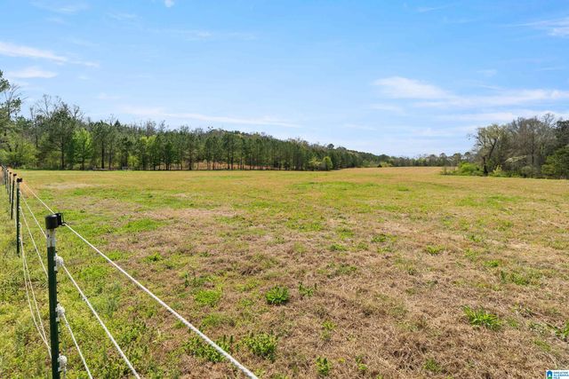 314 TALLADEGA CREEK ROAD, Talladega, AL 35160