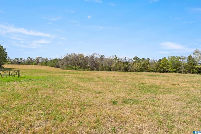 314 TALLADEGA CREEK ROAD, Talladega, AL 35160