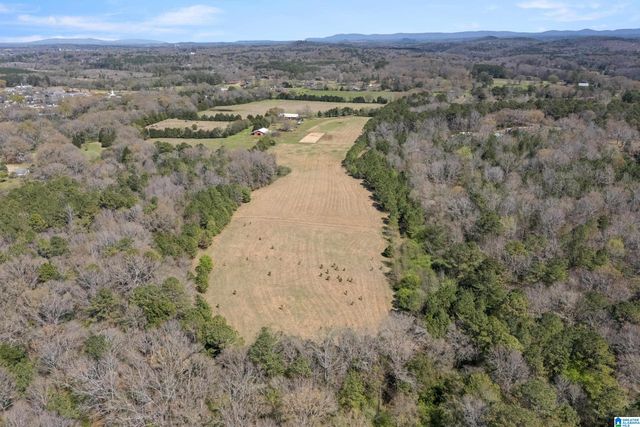 314 TALLADEGA CREEK ROAD, Talladega, AL 35160