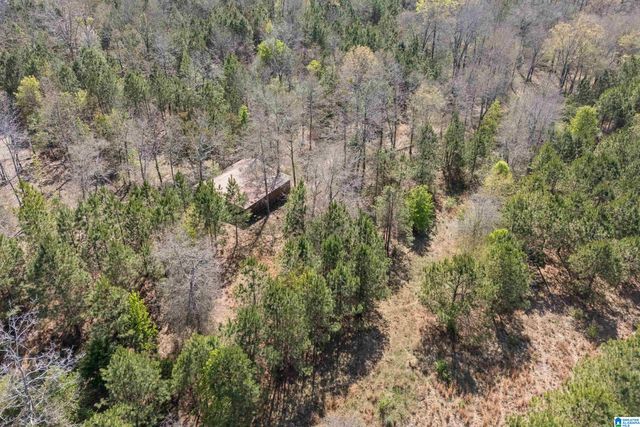 314 TALLADEGA CREEK ROAD, Talladega, AL 35160