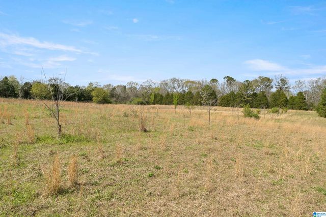 314 TALLADEGA CREEK ROAD, Talladega, AL 35160