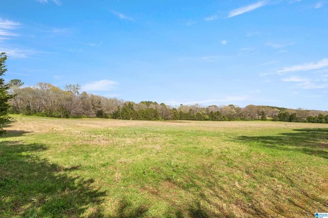 314 TALLADEGA CREEK ROAD, Talladega, AL 35160