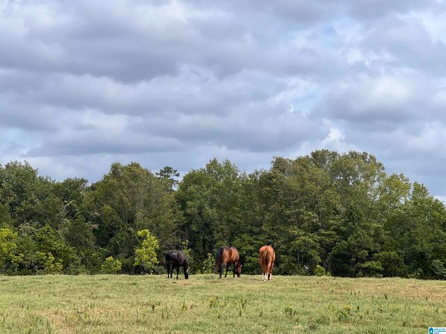 314 TALLADEGA CREEK ROAD, Talladega, AL 35160