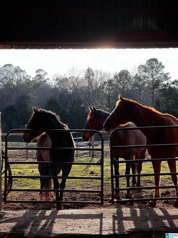 314 TALLADEGA CREEK ROAD, Talladega, AL 35160