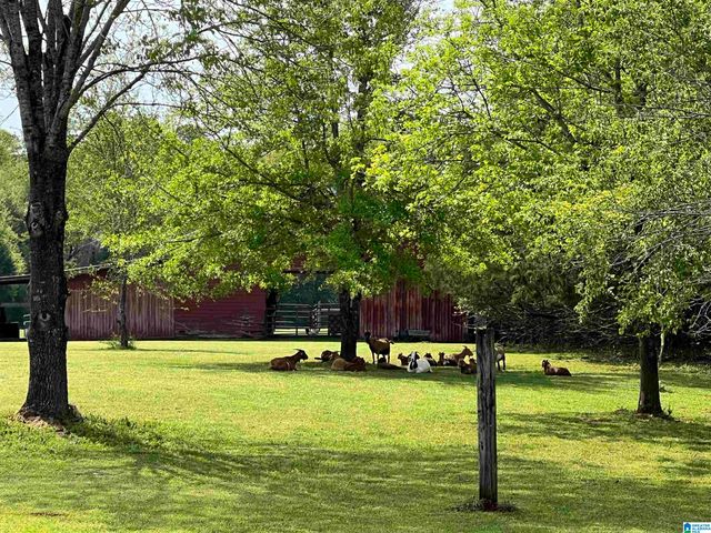 314 TALLADEGA CREEK ROAD, Talladega, AL 35160