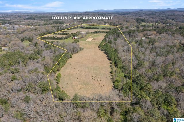 314 TALLADEGA CREEK ROAD, Talladega, AL 35160