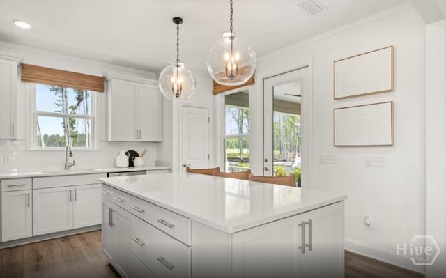 37 Bull Run Road, Richmond Hill, GA 31324