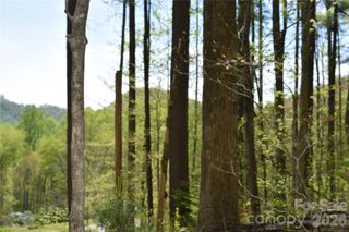 TBD Cabin Flats Road, Balsam, NC 28707