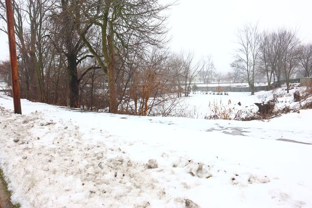 401 W Oneida Avenue, Bartlett, IL 60103