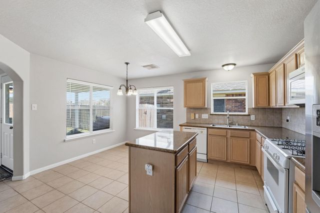 19610 Tigris Springs Circle, Katy, TX 77449