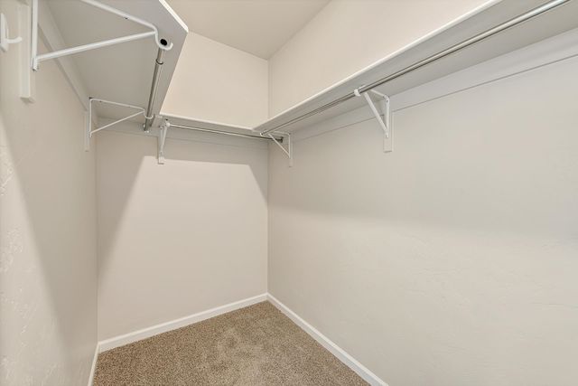 212 Monitor Mesa Court, Grand Junction, CO 81503