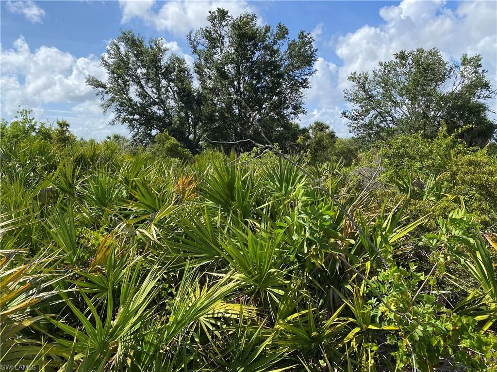 306 Baytree DR, ROTONDA WEST, FL 33947 — photo 2