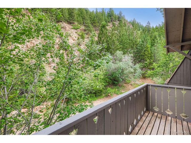 817 Valley View Dr, Georgetown, CO 80444