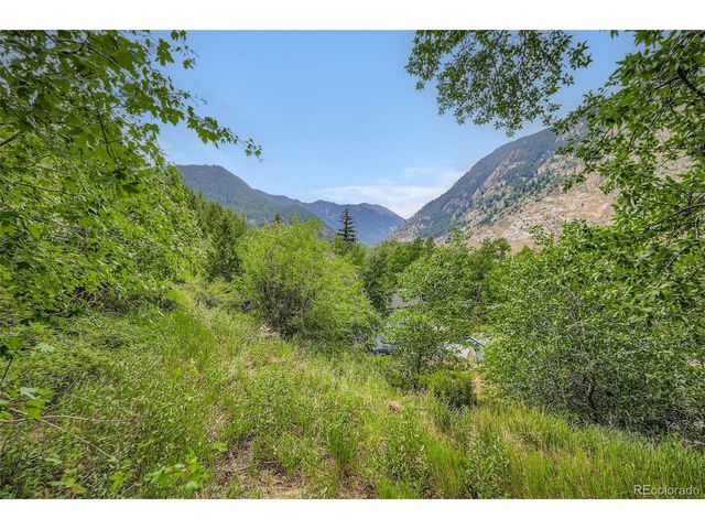 817 Valley View Dr, Georgetown, CO 80444