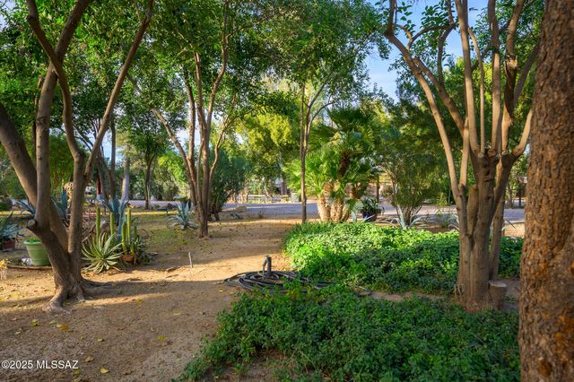 1494 E Prospect Lane, Tucson, AZ 85719