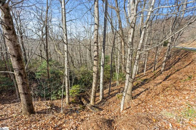 1315 Mountain Summit Road, Travelers Rest, SC 29690