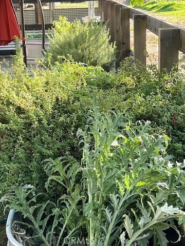 30076 Bouquet Canyon, Saugus (santa Clarita), CA 91390