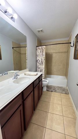 10919 Panther Court, Houston, TX 77099