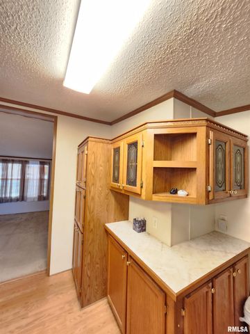 37 JANET Street, Murphysboro, IL 62966