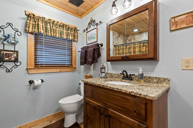 280 Palmetto Drive, Ellijay, GA 30540