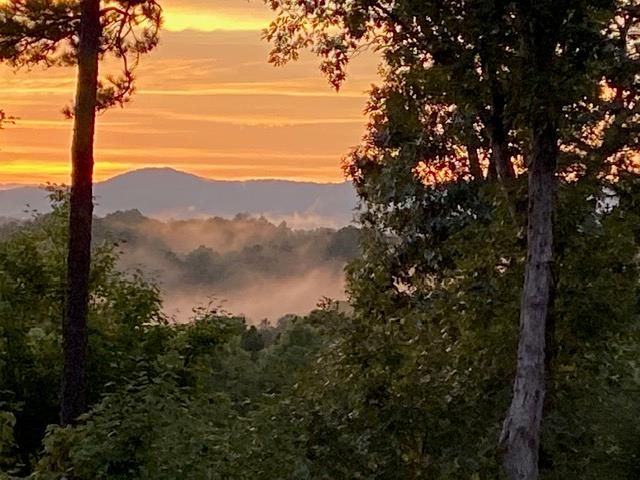 280 Palmetto Drive, Ellijay, GA 30540