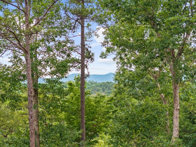 280 Palmetto Drive, Ellijay, GA 30540