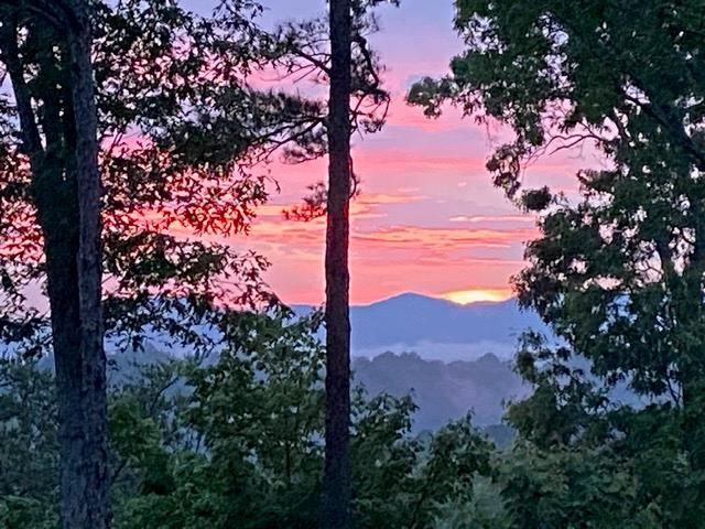 280 Palmetto Drive, Ellijay, GA 30540