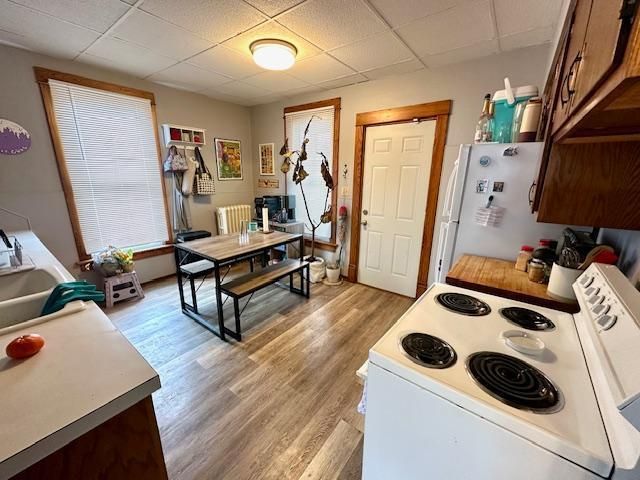 221 N 3rd Avenue, Albert Lea, MN 56007