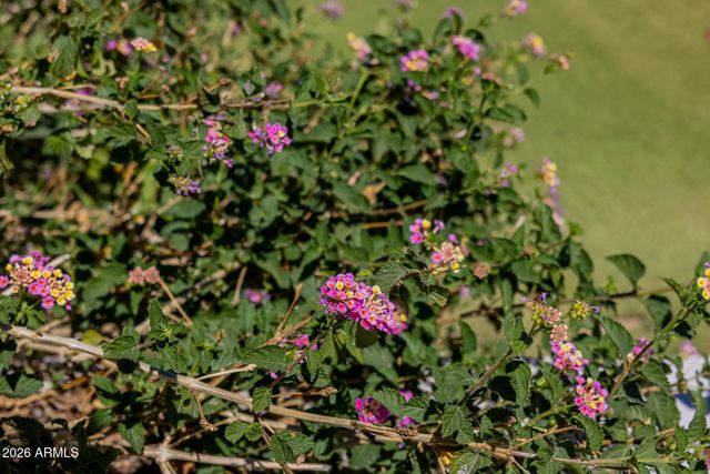 2131 E BETHANY HOME Road, Phoenix, AZ 85016