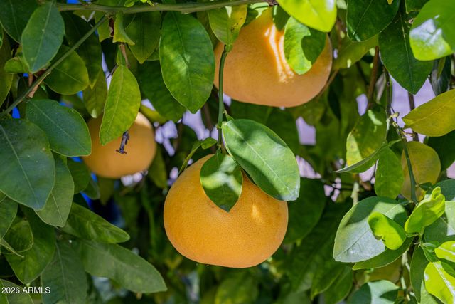 2131 E BETHANY HOME Road, Phoenix, AZ 85016