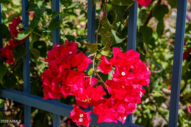 2131 E BETHANY HOME Road, Phoenix, AZ 85016