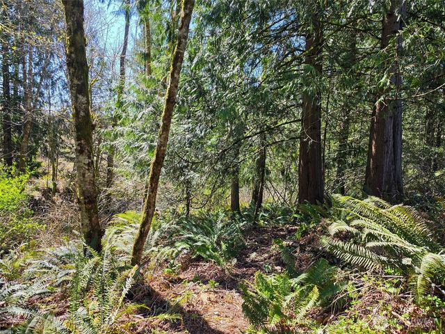 23430 Fisk Road E, Orting, WA 98360