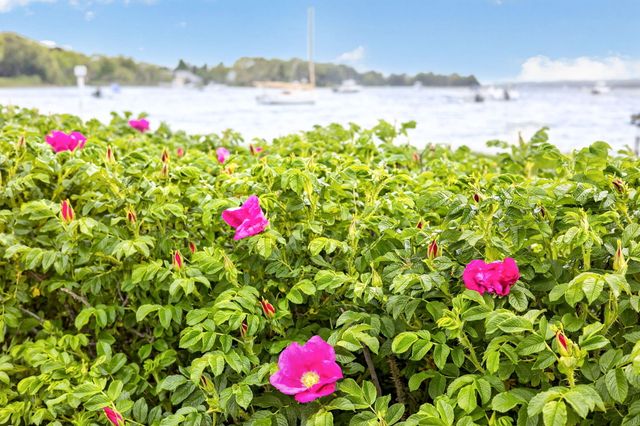27 Bellavista Drive, Pocasset, MA 02559