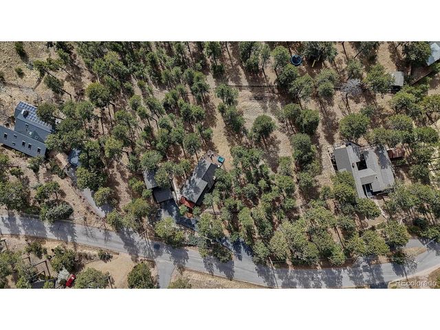 29310 Buchanan Dr, Evergreen, CO 80439