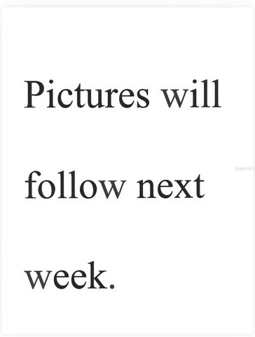 3557 OAK LAKE DRIVE, Palm Harbor, FL 34684