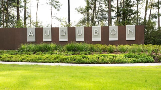 15694 Audubon Park Drive, Magnolia, TX 77354
