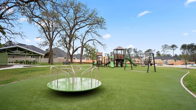 15694 Audubon Park Drive, Magnolia, TX 77354