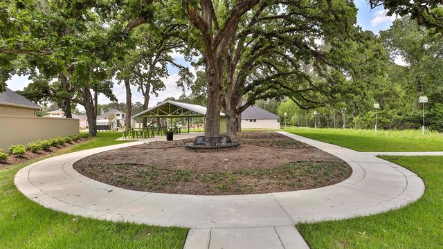 15694 Audubon Park Drive, Magnolia, TX 77354