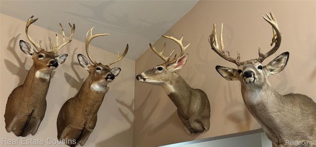 9110 Baldwin Road, Gaines Township, MI 48436