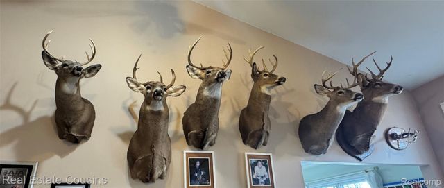 9110 Baldwin Road, Gaines Township, MI 48436