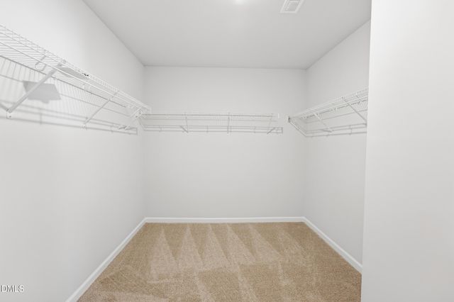 1519 Foal Run Trail, Wake Forest, NC 27587