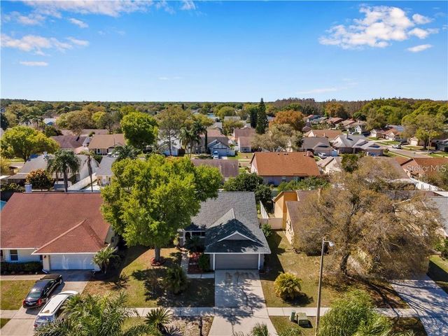 7110 HOLLOWELL DRIVE, Tampa, FL 33634